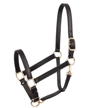 Best PERRIS LEATHER Perri’s® Leather Turnout Draft Halter