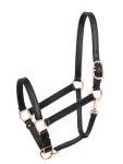 perris-leather-turnout-halter-KjBrQmSh-0.webp