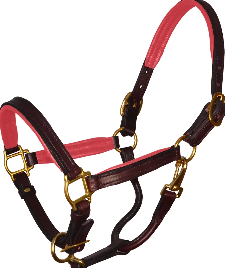 perris-padded-leather-pony-hal-ETiBHHDo-0.webp Outlet PERRIS LEATHER Perri’s® Padded Leather Pony Halter