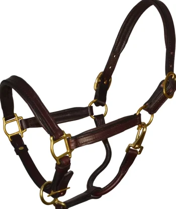 Outlet PERRIS LEATHER Perri’s® Padded Leather Pony Halter