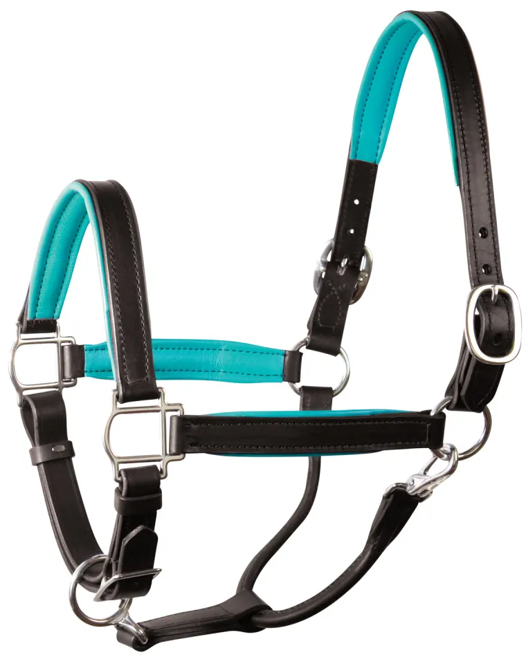 perris-padded-leather-pony-hal-ETiBHHDo-2.webp Outlet PERRIS LEATHER Perri’s® Padded Leather Pony Halter