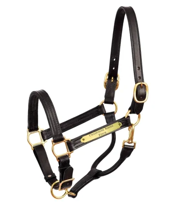 Hot PERRIS LEATHER Perri’s® Premium 1" Leather Show Halter With Nameplate