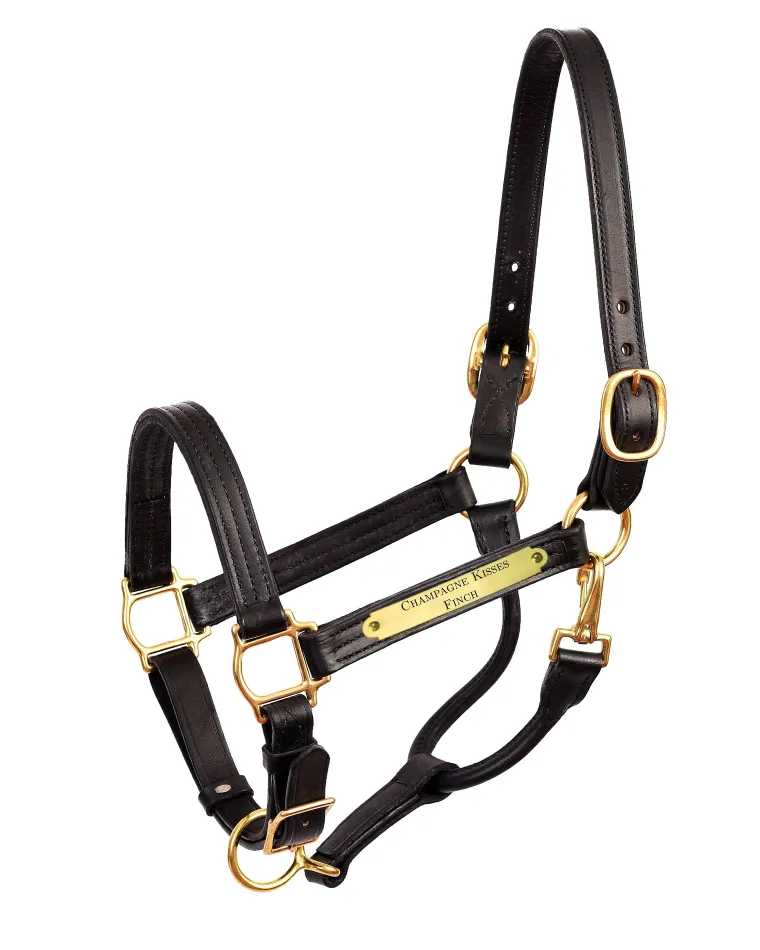 perris-premium-1-leather-show-vdAlqNxS-1.webp Hot PERRIS LEATHER Perri’s® Premium 1" Leather Show Halter With Nameplate