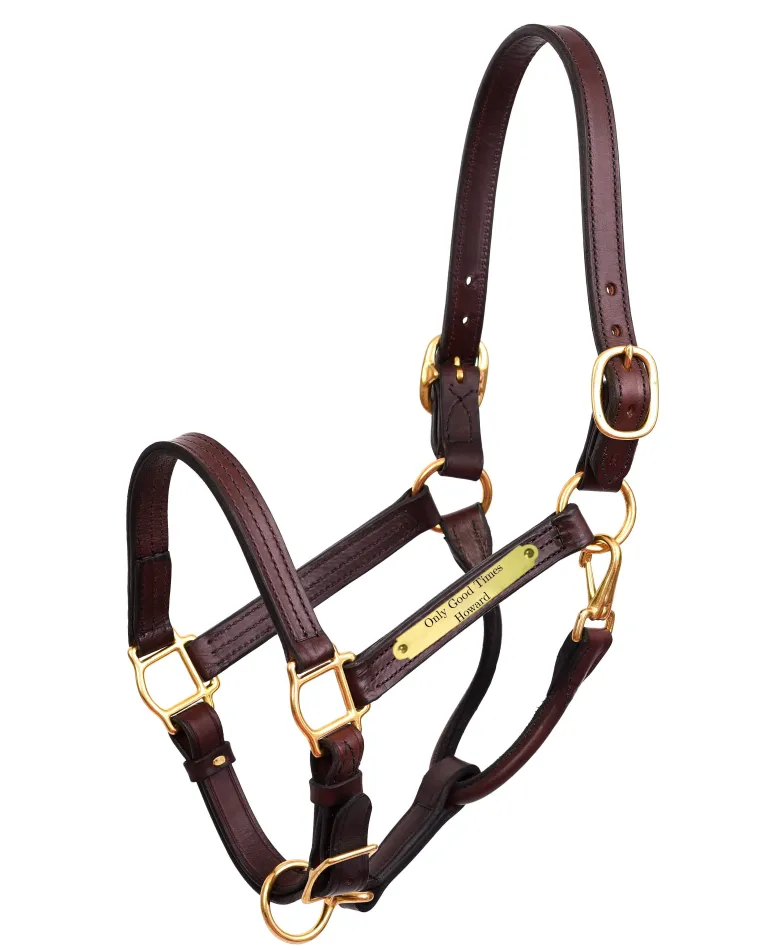 perris-premium-1-leather-show-vdAlqNxS-2.webp Hot PERRIS LEATHER Perri’s® Premium 1" Leather Show Halter With Nameplate