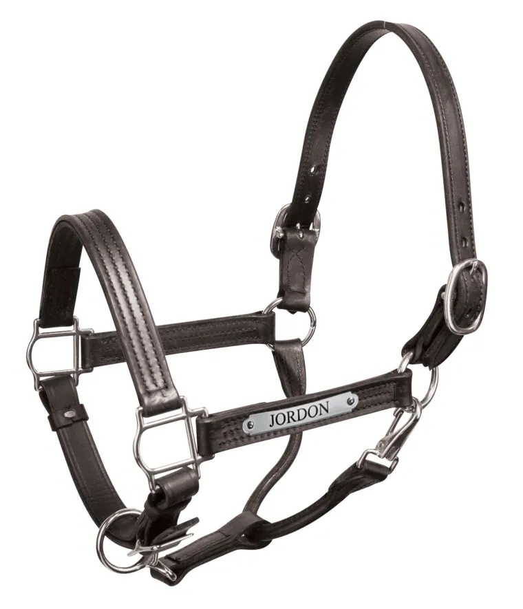 perris-premium-1-leather-show-vdAlqNxS-3.webp Hot PERRIS LEATHER Perri’s® Premium 1" Leather Show Halter With Nameplate