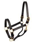 Online PERRIS LEATHER Perri’s® Premium Leather XL Show Halter