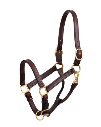 Online PERRIS LEATHER Perri’s® Premium Leather XL Show Halter