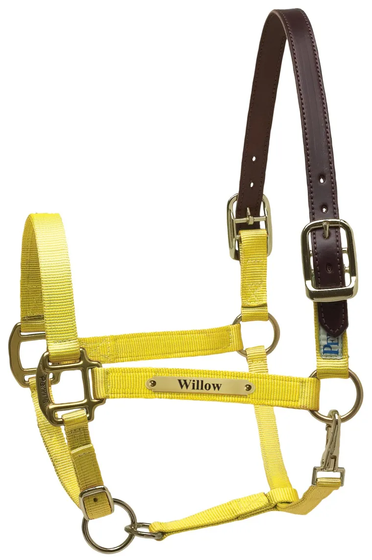 perris-premium-nylon-safety-ha-eSZcYdrM-0.webp New PERRIS LEATHER Perri’s® Premium Nylon Safety Halter With Nameplate