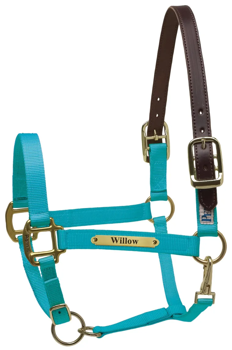 perris-premium-nylon-safety-ha-eSZcYdrM-1.webp New PERRIS LEATHER Perri’s® Premium Nylon Safety Halter With Nameplate