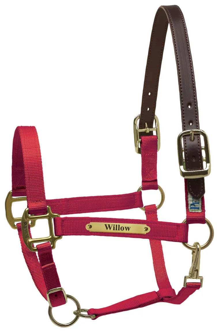 perris-premium-nylon-safety-ha-eSZcYdrM-12.webp New PERRIS LEATHER Perri’s® Premium Nylon Safety Halter With Nameplate