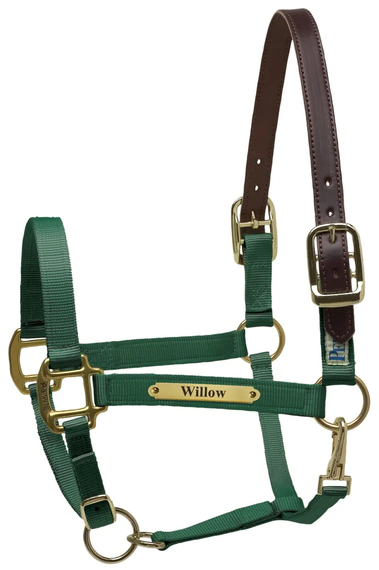 perris-premium-nylon-safety-ha-eSZcYdrM-13.webp New PERRIS LEATHER Perri’s® Premium Nylon Safety Halter With Nameplate