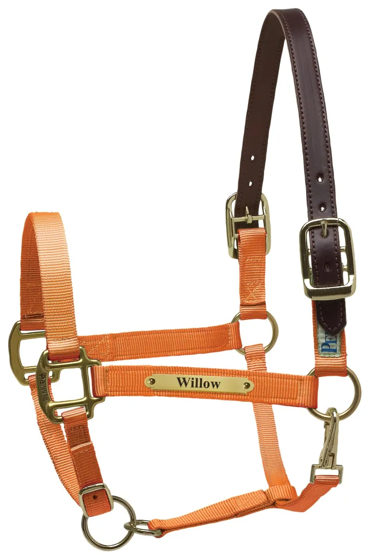 perris-premium-nylon-safety-ha-eSZcYdrM-5.webp New PERRIS LEATHER Perri’s® Premium Nylon Safety Halter With Nameplate