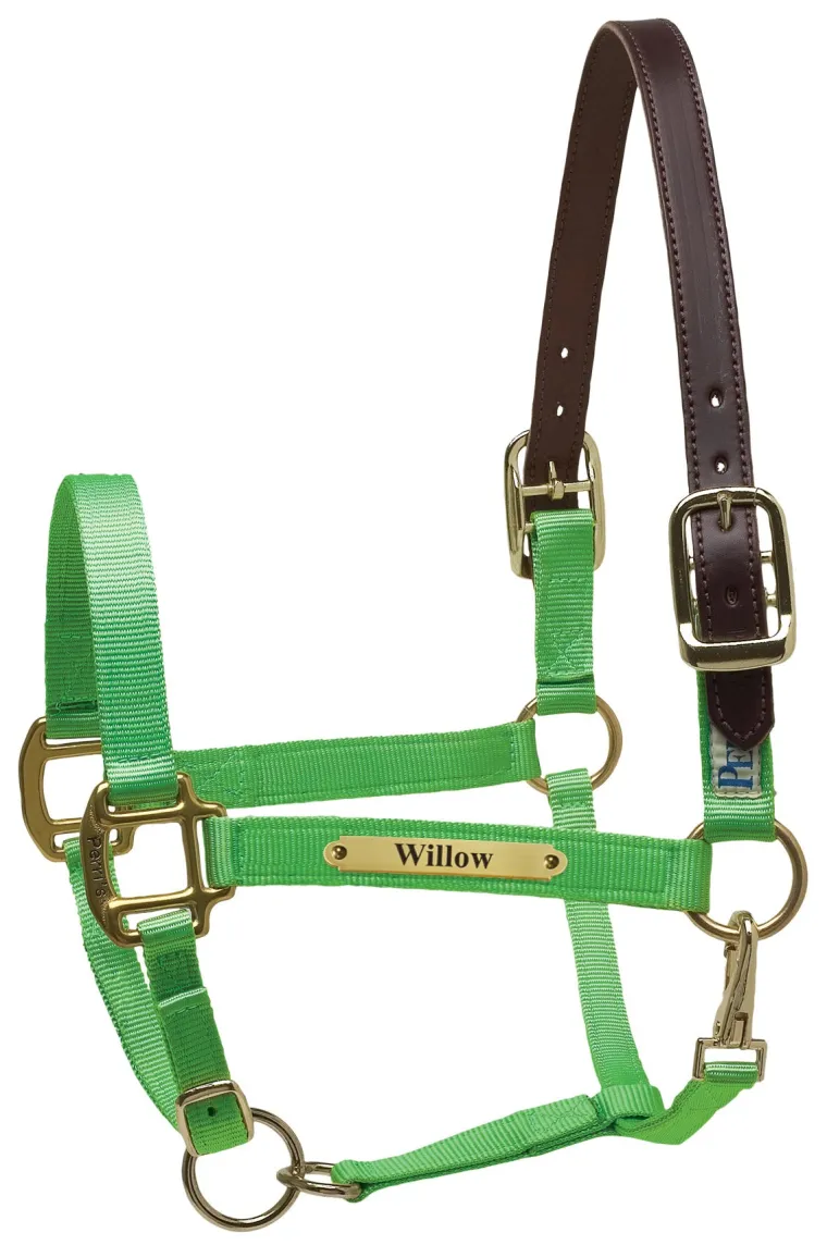 perris-premium-nylon-safety-ha-eSZcYdrM-9.webp New PERRIS LEATHER Perri’s® Premium Nylon Safety Halter With Nameplate