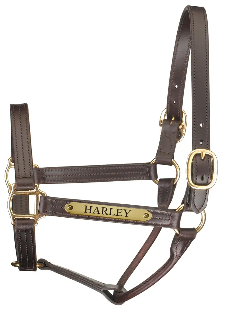 perris-premium-track-style-lea-abCKWaXP-0.webp Clearance PERRIS LEATHER Perri’s® Premium Track Style Leather Show Halter With Nameplate Havana