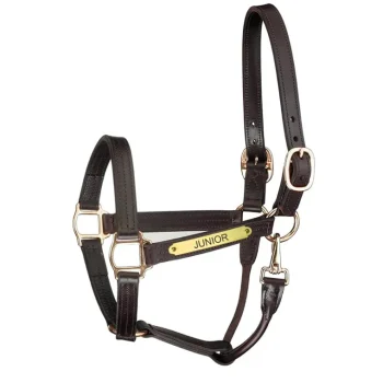 Fashion PERRIS LEATHER Perri’s® Premium Track Style Leather Show Halter With Snap & Nameplate Havana