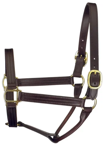 Fashion PERRIS LEATHER Perri’s® Premium Track Style Show Halter Havana