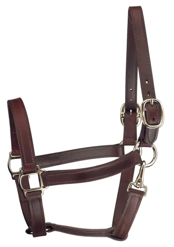 Fashion PERRIS LEATHER Perri’s® Track Style Turnout Halter With Snap