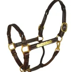perris-twisted-leather-halter-OKWqdJvP-0.webp