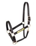 Hot PERRIS LEATHER Perri’s® Yearling Leather Turnout Halter Havana