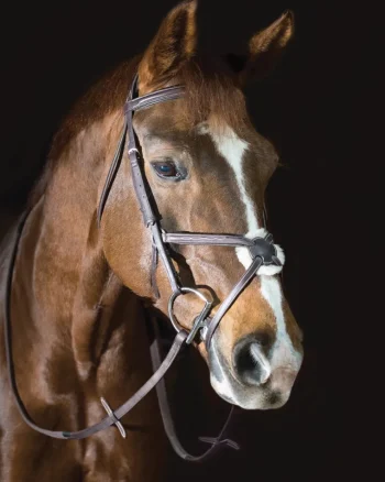 Outlet ERS Pessoa® Pro Fancy-Stitched Figure-8 Bridle Dark Brown