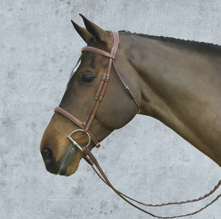pessoa-pro-fancy-stitched-rais-ORdwZgrj-2.webp Online ERS Pessoa® Pro Fancy-Stitched Raised Bridle