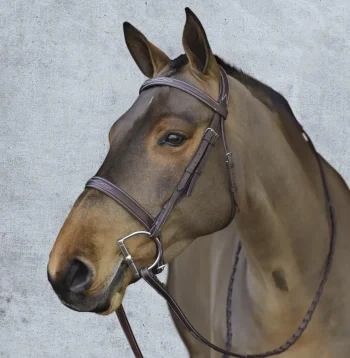 Online ERS Pessoa® Pro Fancy-Stitched Wide Nose Bridle