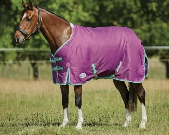 Best WEATHERBEETA ® Pony ComFiTec™ Premier Free II Standard Neck Lite Turnout Purple/Navy/Mint