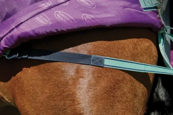 Best WEATHERBEETA ® Pony ComFiTec™ Premier Free II Standard Neck Lite Turnout Purple/Navy/Mint