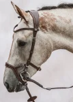 ps-of-sweden-nirak-bridle-QtaxYnDM-0.webp