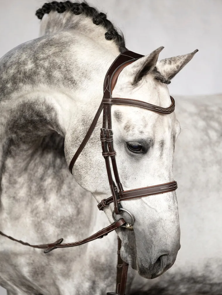 ps-of-sweden-ocala-hunter-brid-jUQiJKUd-2.webp Hot PS OF SWEDEN Ocala Hunter Bridle Brown