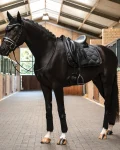 ps-of-sweden-ruffle-dressage-s-fPBNdXTE-0.webp
