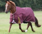 Fashion SHIRES EQUESTRIAN Shires Highlander 100G Blanket