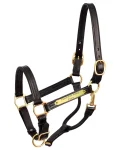 Clearance PERRIS LEATHER Perri’s® 1" XL Stallion Premium Leather Show Halter with Nameplate