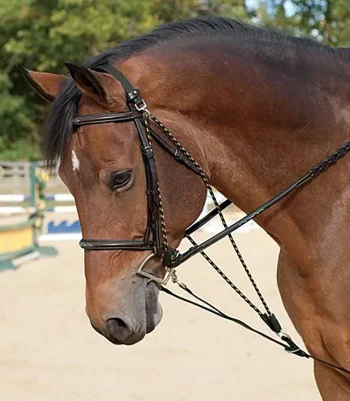 Fashion ERS De Gogue Dark Brown