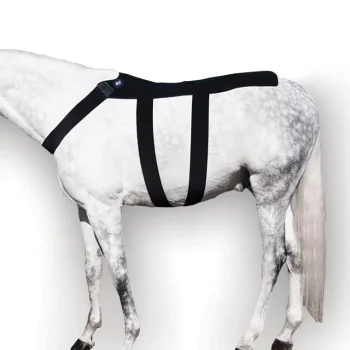Outlet MACKINNON Ice Horse® Back Blanket