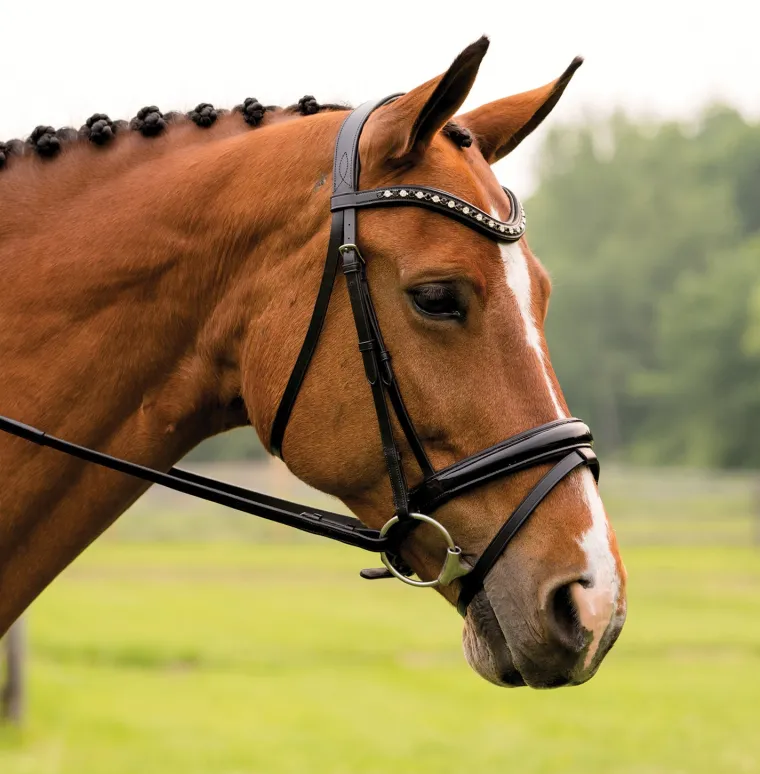 red-barn-stride-dressage-bridl-qYBqDmHT-0.webp Sale KL SELECT Red Barn Stride Dressage Bridle Black