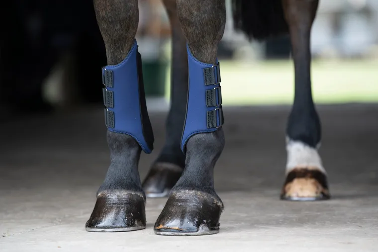 riders-international-all-purpo-AryziSmF-3.webp Sale TEXT HORSE Rider’s International™ All-Purpose Galloping Boots