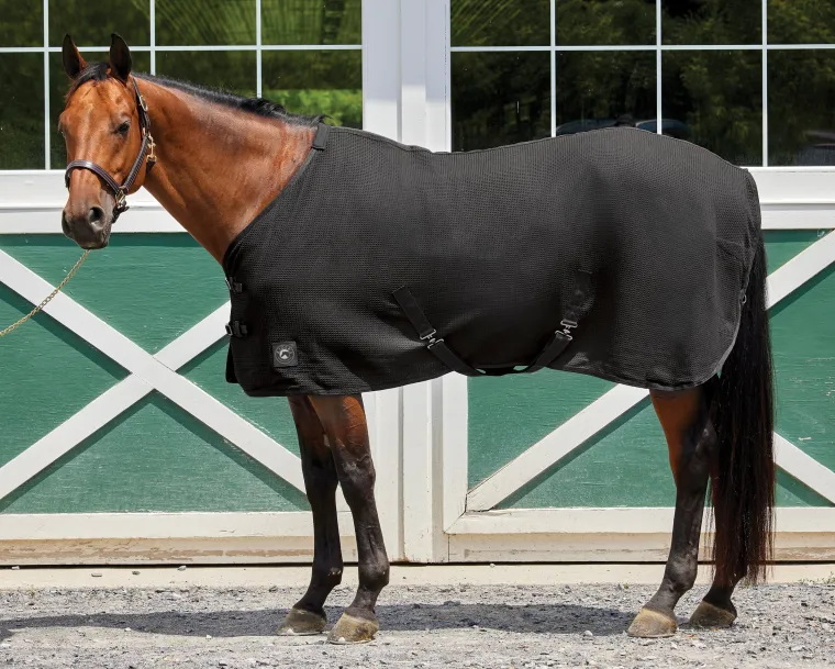 riders-international-chill-cha-ICFfRyNz-0.webp Best INTEX EQUESTRIAN Rider’s International™ Chill Chaser