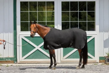 Best INTEX EQUESTRIAN Rider’s International™ Chill Chaser