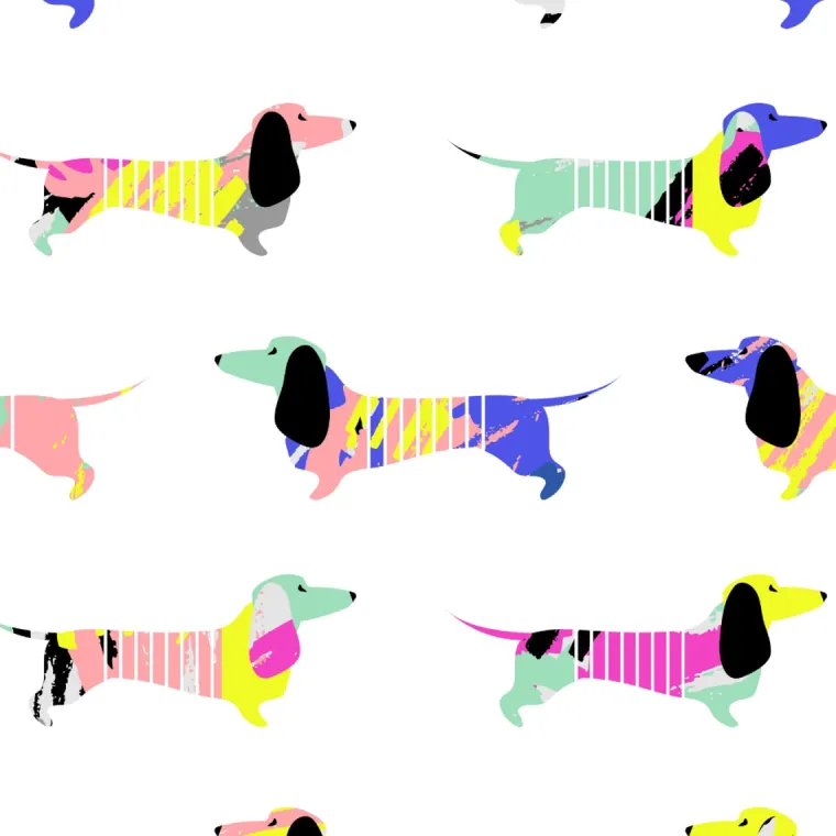 rj-classics-girls-brynn-jr-sho-XfIXHsAj-3.webp Online RJ CLASSICS R.J. Classics Girls’ Brynn Jr. Short Sleeve Show Shirt