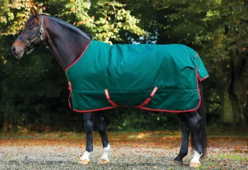 Discount HORSEWARE ® Ireland Rambo® Original 1000D Heavyweight Turnout–400G Green/Red