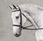 Online ERS Rodrigo Classic Hunter Bridle