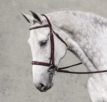 Online ERS Rodrigo Classic Hunter Bridle