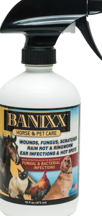 Hot ANIMAL HEALTH INT Banixx® Horse & Pet Care