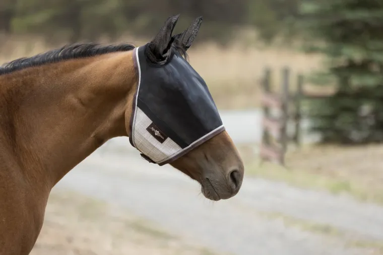 sONGEPtf_5.webp Online KENSINGTON ™ UViator CatchMask Protective Mask with Ears & Forelock Opening