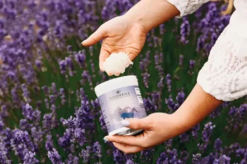 Sale ANIMAL HEALTH INT Equiderma® Wound Ointment