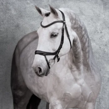 New SCHOCKEMOEHLE N.A. Schockemöhle Equitus Alpha Bridle