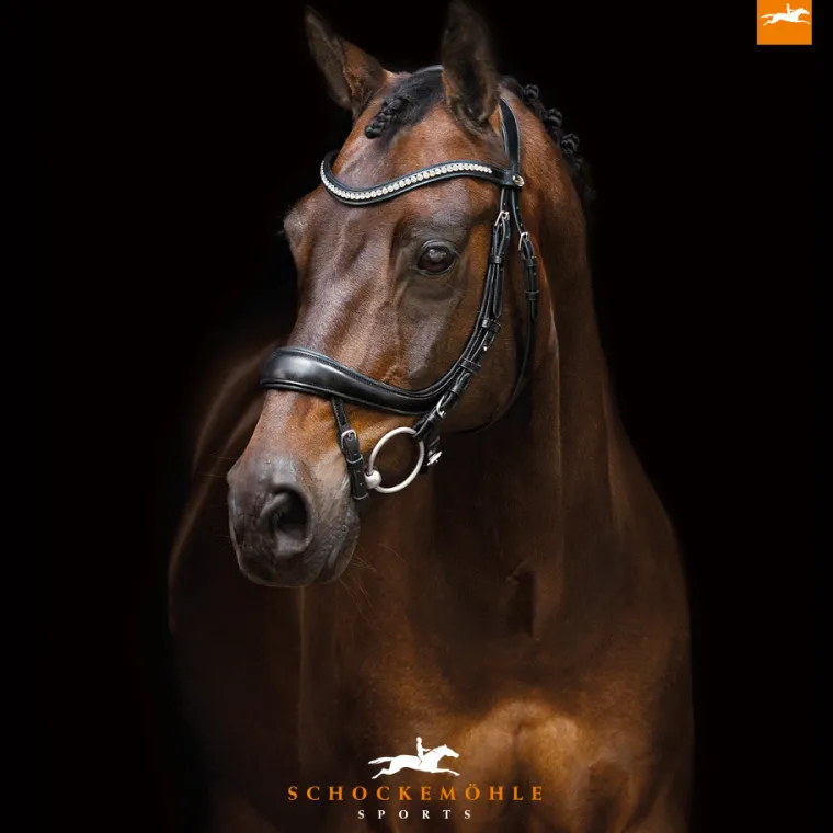 schockemhle-equitus-beta-bridl-jCRPplwl-1.webp Outlet SCHOCKEMOEHLE N.A. Schockemöhle Equitus Beta Bridle Black/Silver