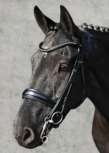 Online SCHOCKEMOEHLE N.A. Schockemöhle Milan Anatomical Double Bridle Black/Silver