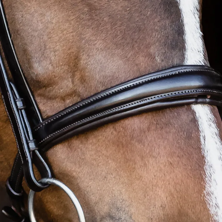 schockemhle-monza-bridle-lhDDRcPj-2.webp Online SCHOCKEMOEHLE N.A. Schockemöhle Monza Bridle